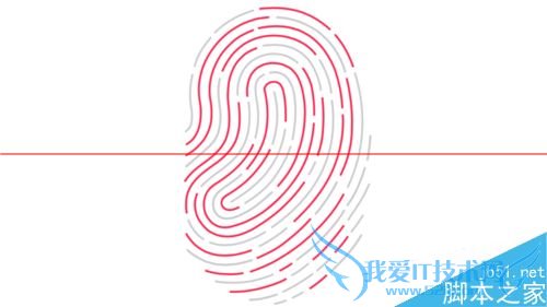 iPhoneָֻʶͬʱָָ