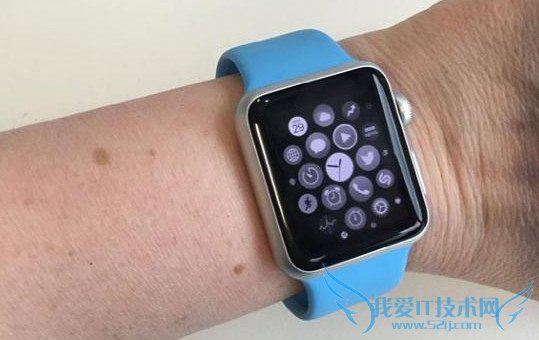 Apple Watchֱʡ磿
