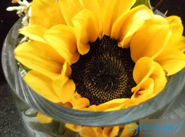 魅蓝Note2手机怎么样?亲身体验魅蓝Note2手机