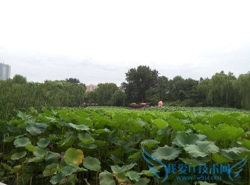 魅蓝2及魅蓝note2手机拍照像素的全面对比