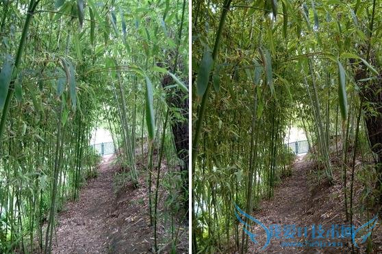 魅蓝2及魅蓝note2手机拍照像素的全面对比