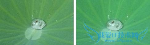 魅蓝2及魅蓝note2手机拍照像素的全面对比