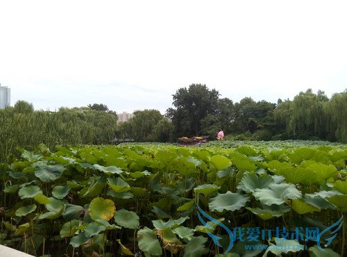 魅蓝2及魅蓝note2手机拍照像素的全面对比