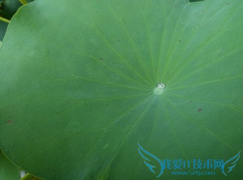 魅蓝2及魅蓝note2手机拍照像素的全面对比