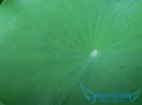 魅蓝2及魅蓝note2手机拍照像素的全面对比