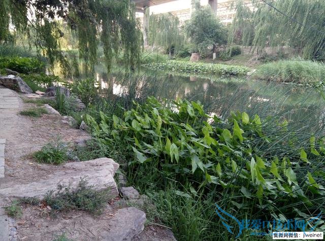 乐视超级手机1性能怎么样?