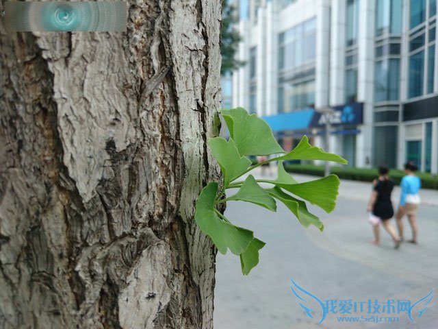 콢Xperia Z3+ Dualô