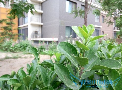 note2únoteöԱ Ŀֻøã