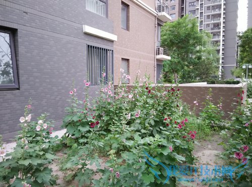 note2únoteöԱ Ŀֻøã