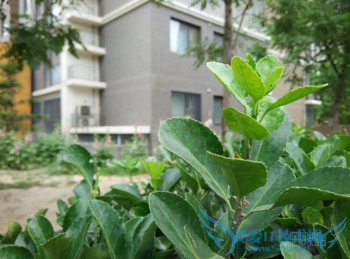 note2únoteöԱ Ŀֻøã