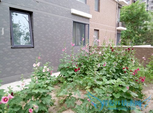 note2únoteöԱ Ŀֻøã