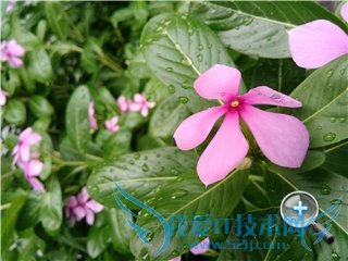 魅蓝Note2好么么哒3S手机对比哪款手机更好?