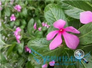 魅蓝Note2好么么哒3S手机对比哪款手机更好?