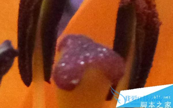 红米Note3的性能如何?