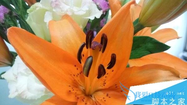 红米Note3的性能如何?