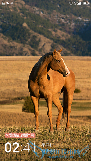 金立E8手机怎么样?号称手机中的显微镜