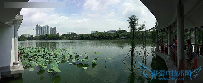 金立E8手机怎么样?号称手机中的显微镜