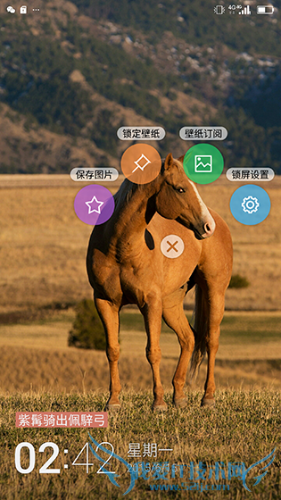 金立E8手机怎么样?号称手机中的显微镜