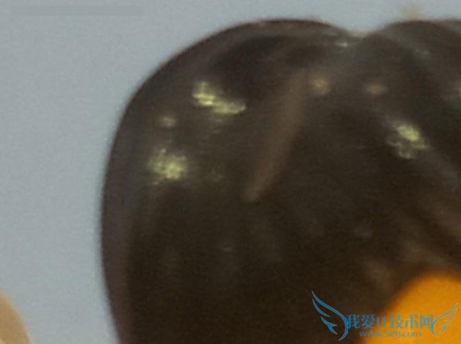 金立E8手机怎么样?号称手机中的显微镜