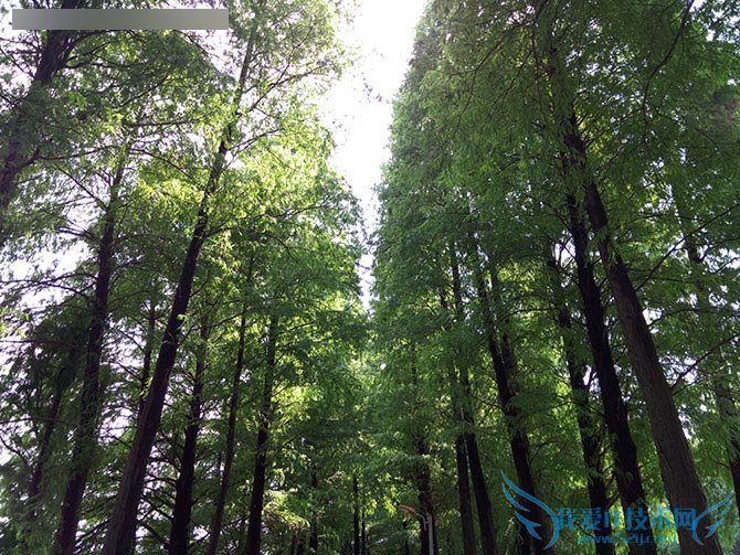 金立E8手机怎么样?号称手机中的显微镜