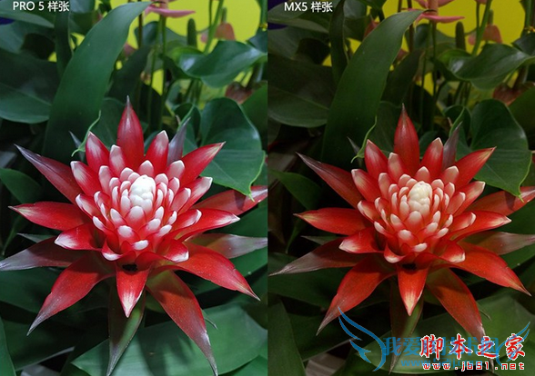 魅族pro5和魅族mx5的拍照性能的对比