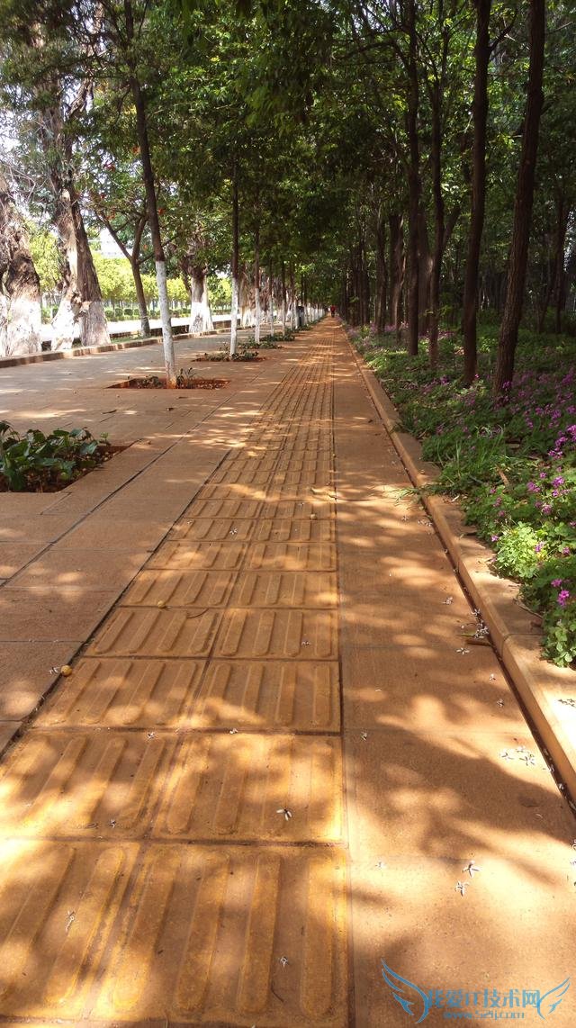 国内定制手机之父青橙VOGAV1,到底是一款怎么样的手机?