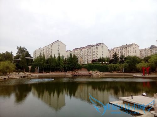 TCLP588Lֻòãųƺɱ