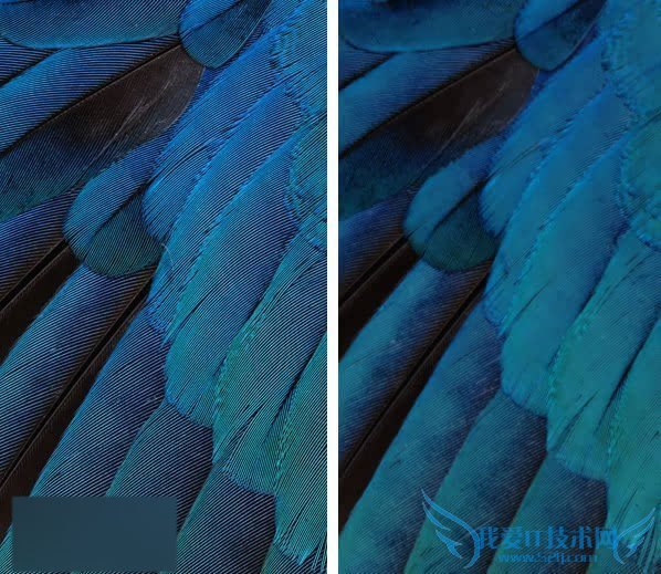 iOS9Beta3ֽײŵBelle