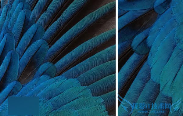 iOS9Beta3ֽײŵBelle