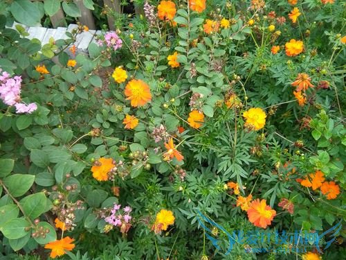 看看华为荣耀4A给了我们哪些惊喜?