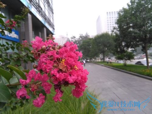 看看华为荣耀4A给了我们哪些惊喜?