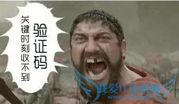 手机老是无法收到短信验证码怎么办?