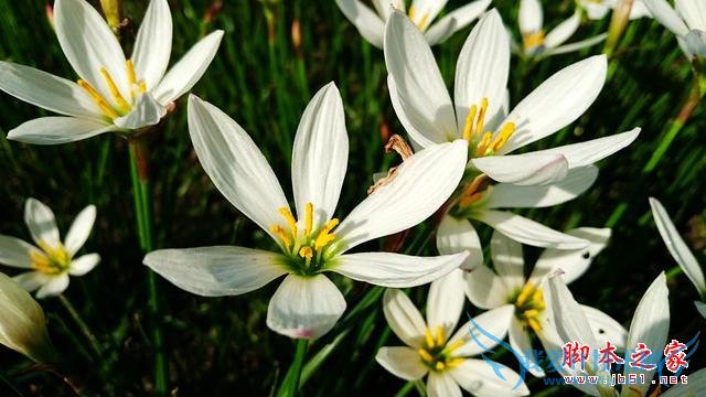 华硕ZenFone2的实拍效果如何?