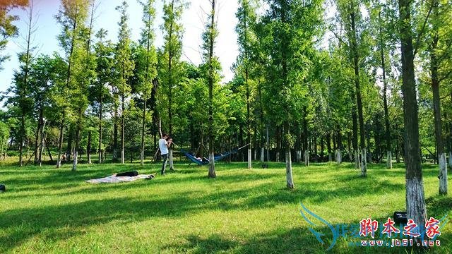 华硕ZenFone2的实拍效果如何?