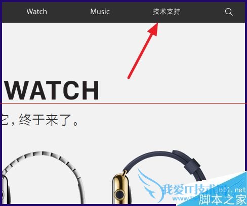 鿴iPhone6Plusͷϵļ