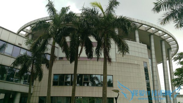 假如给你4000块人民币,你会选择LG G4还是HTC M9?