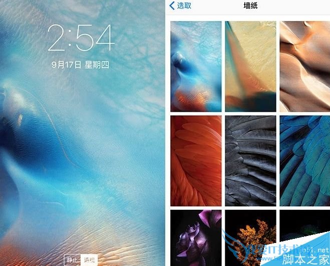 如何解决升级ios9正式版后输入密码没反应的故障?