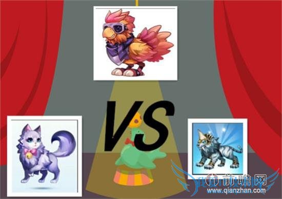 天天酷跑星星的猫暴力鸟叔糖白虎得分能力综合能力宠物神圣祝福搭配对比分析