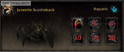 魔兽世界7.0前瞻 部分新增战斗宠物图鉴评析