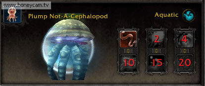 魔兽世界7.0前瞻 部分新增战斗宠物图鉴评析