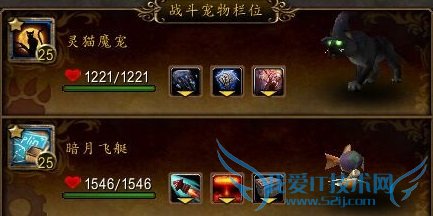 宠物对战福利攻略!一晚百只满级宠物不是梦