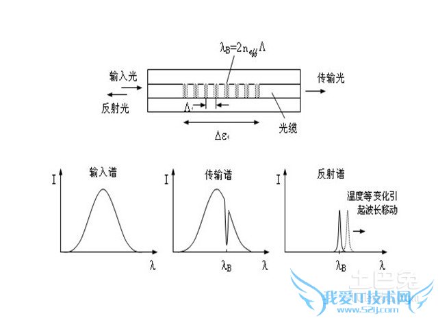 ¹âÏ˹âÕ¤·ÖÀà
