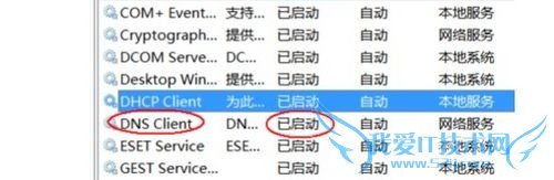 dns服务器未响 dns服务器未响