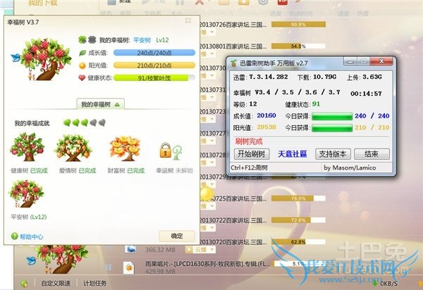 迅雷幸福树 迅雷幸福树