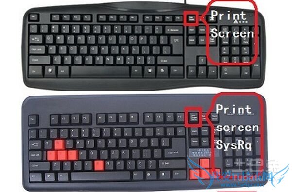 抓图的快捷键 抓图的快捷键