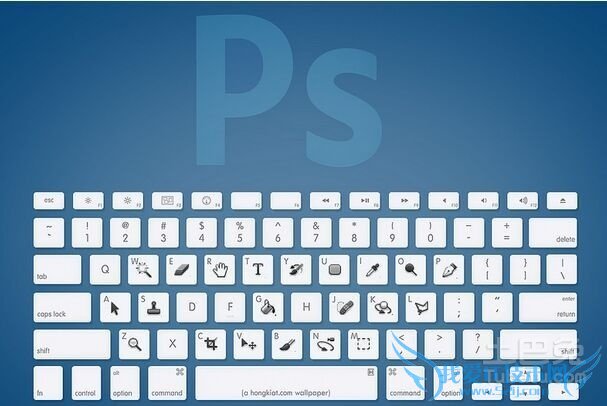 抓图的快捷键 抓图的快捷键