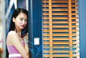 选购百叶窗的两大窍门