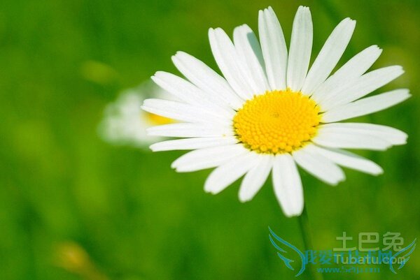 如何设置电脑保护色 如何设置电脑保护色