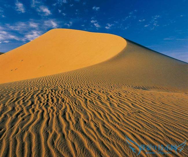 µã»÷²é¿´´óͼ