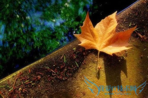 qq非主流英文网名